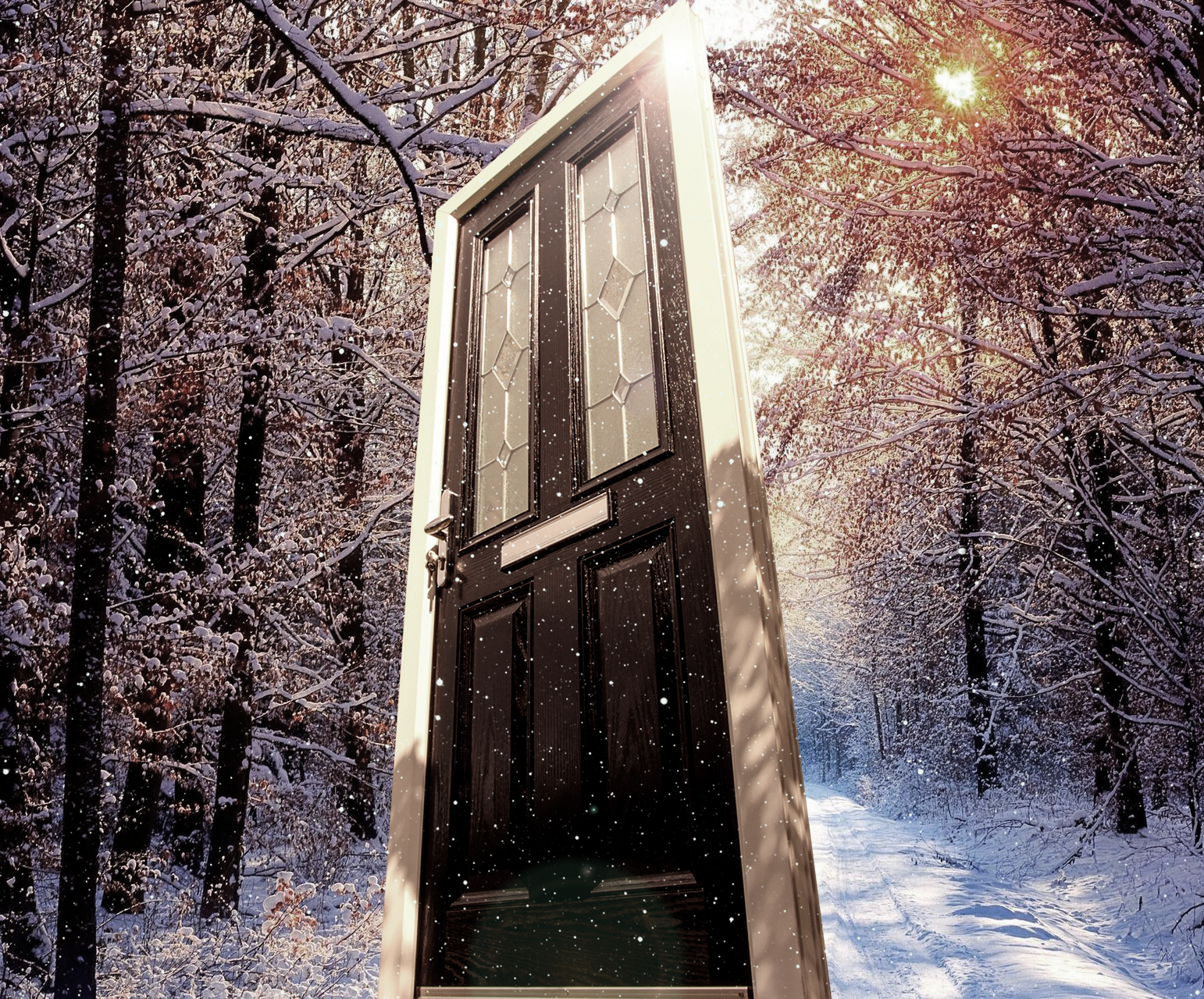 Winter XtremeDoor Composite Door