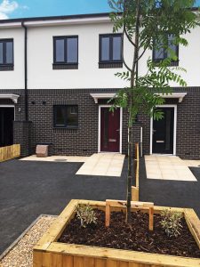 Net zero carbon home with tree outside